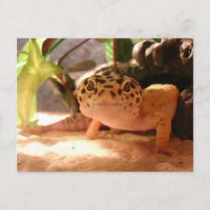 Leopard Gecko-Briefkaart Briefkaart