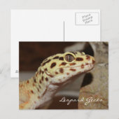 Leopard Gecko-Briefkaart Briefkaart (Voorkant / Achterkant)