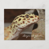 Leopard Gecko-Briefkaart Briefkaart (Voorkant)