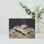 Leopard gecko-design voor alle gekko-liefhebbers! briefkaart (Staand voorkant)