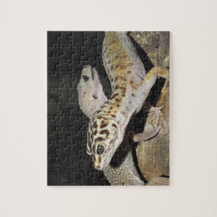Leopard gecko design voor iedereen! legpuzzel