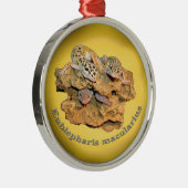 Leopard gecko design voor iedereen! metalen ornament (Rechts)