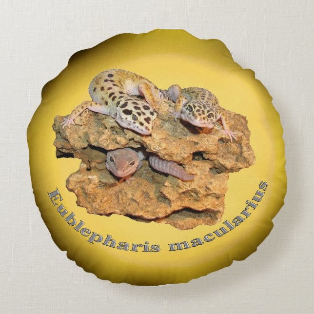 Leopard gecko design voor iedereen! rond kussen (Achterkant)