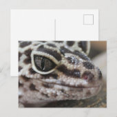 Leopard Gecko Eyes Mouth Face Close Briefkaart (Voorkant / Achterkant)