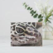 Leopard Gecko Eyes Mouth Face Close Briefkaart (Staand voorkant)
