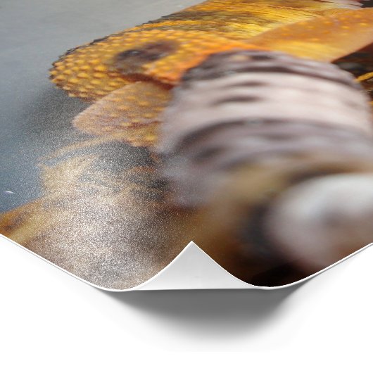 Leopard Gecko Foto Afdruk (Hoek)