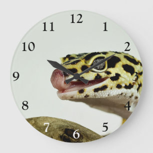 Leopard Gecko Large Clock Grote Klok