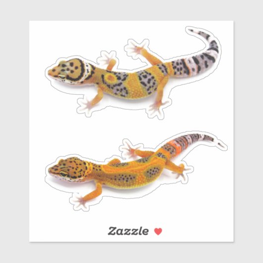 Leopard Gecko Lizard Sticker (Vel)