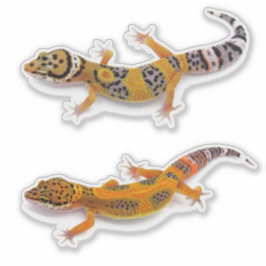 Leopard Gecko Lizard Sticker