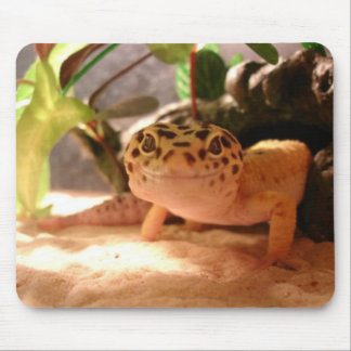 Leopard Gecko Mousepad Muismat