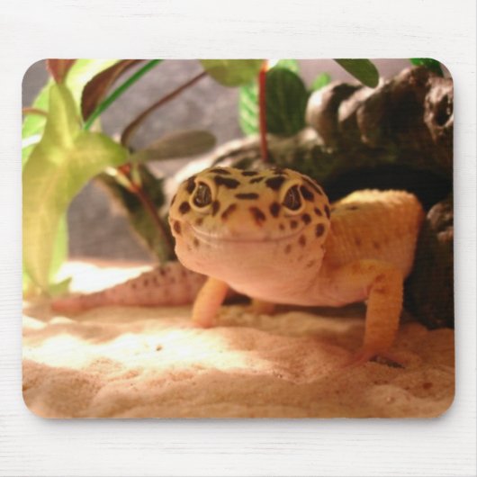 Leopard Gecko Mousepad Muismat (Voorkant)