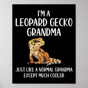 Leopard Gecko Oma Definitie Dieren Liefhebber Mot Poster