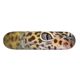 leopard gecko persoonlijk skateboard