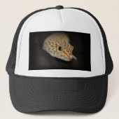 Leopard Gecko Pet (Voorkant)