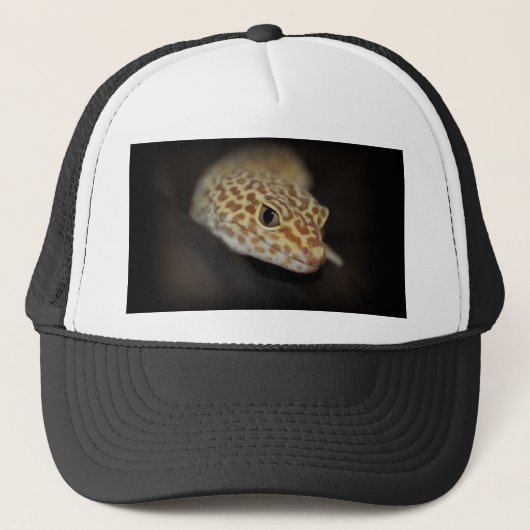 Leopard Gecko Pet (Voorkant)
