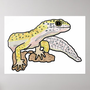 Leopard Gecko Poster