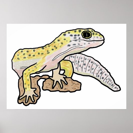 Leopard Gecko Poster (Voorkant)