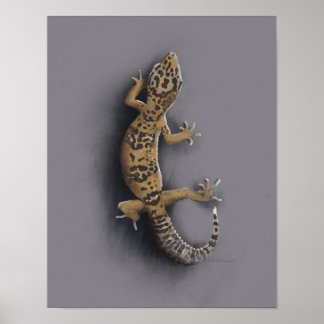 Leopard gecko poster