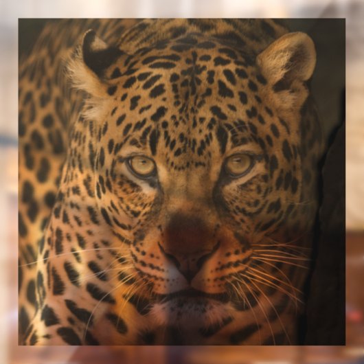 LEOPARD GLASS WINDOW CLING RAAMSTICKER (Vel 2)