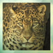 LEOPARD GLASS WINDOW CLING RAAMSTICKER (Vel 3)