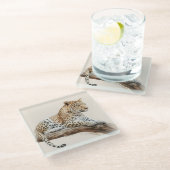 Leopard Glazen Onderzetter (Schuin)