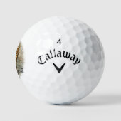 Leopard Golfballen (Logo)