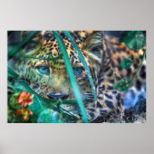 LEOPARD GREEN EYES GAZER POSTER (Voorkant)