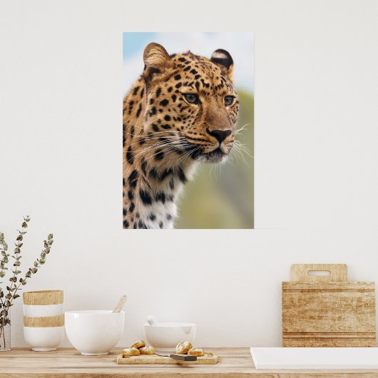 Leopard Head Shot Poster (Keuken)
