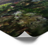 Leopard in het wild liggend op de boomstam poster (Hoek)