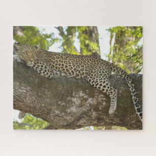 Leopard in Natuur met bomen Foto Legpuzzel