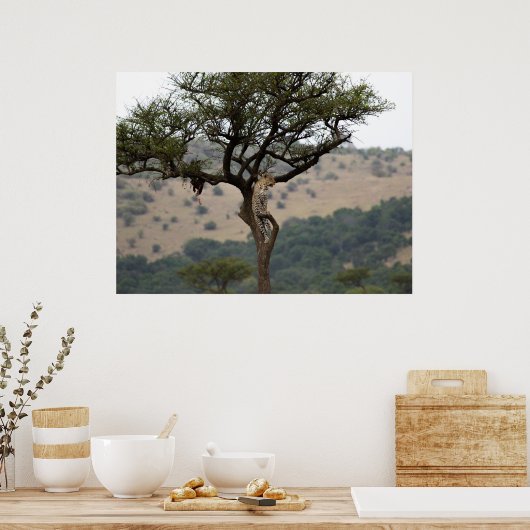 Leopard in Tree - Safari Wildlife Fine Art Print (Keuken)