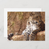 Leopard Invitation Kaart (Voorkant / Achterkant)