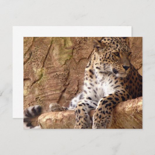 Leopard Invitation Kaart (Voorkant / Achterkant)