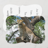 Leopard Kaart (Voorkant / Achterkant)