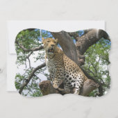 Leopard Kaart (Voorkant)
