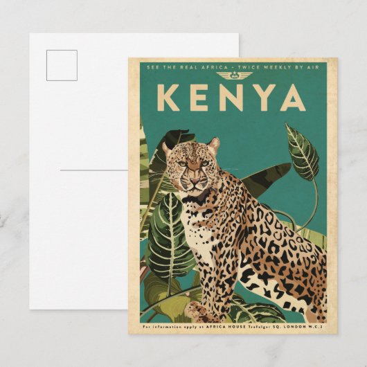 Leopard Kenya Travel Briefkaart (Voorkant / Achterkant)