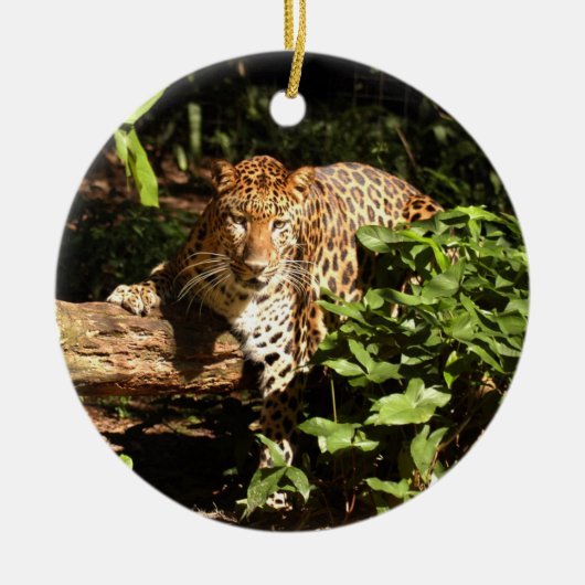 Leopard Kerstversiering Keramisch Ornament (Voorkant)