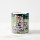 Leopard Koffiemok (Center)