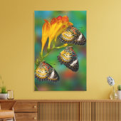 Leopard Lacewing tropische vlinders (Cethosia) Canvas Afdruk (Insitu (Woonkamer))