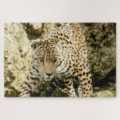 Leopard Legpuzzel (Horizontaal)