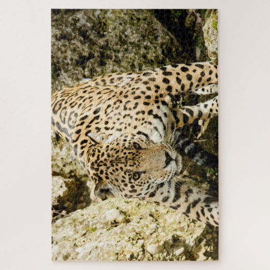 Leopard Legpuzzel (Verticaal)