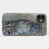 Leopard Lookout iPhone 11 Hoesje (Achterkant (horizontaal))