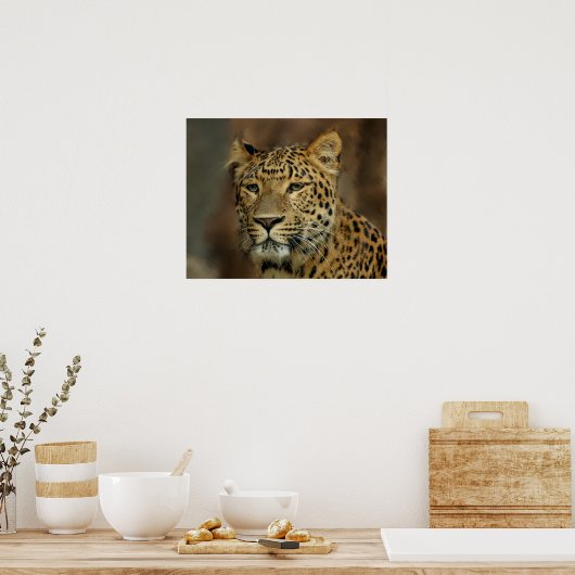 Leopard Lovers Art Poster (Keuken)