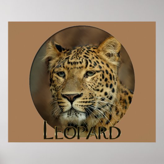 Leopard Lovers Art Poster (Voorkant)