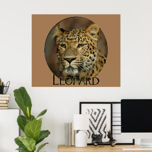 Leopard Lovers Art Poster