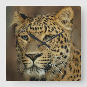 Leopard Lovers Art Vierkante Klok