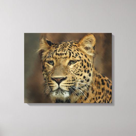 Leopard Lovers Canvas Afdruk (Voorkant)