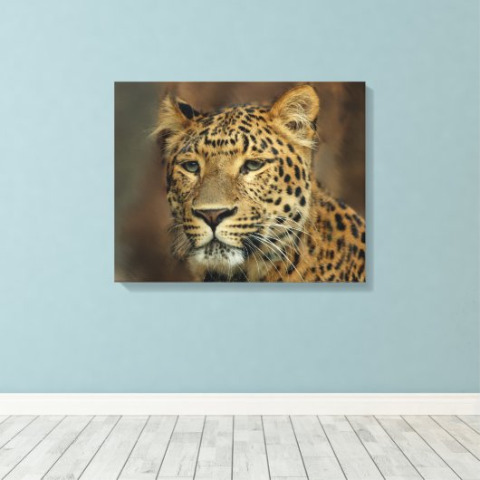 Leopard Lovers Canvas Afdruk (Insitu (Houten vloer))