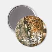 Leopard Magneet (Voorkant / Achterkant)