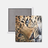 Leopard Magneet (Voorkant / Achterkant)